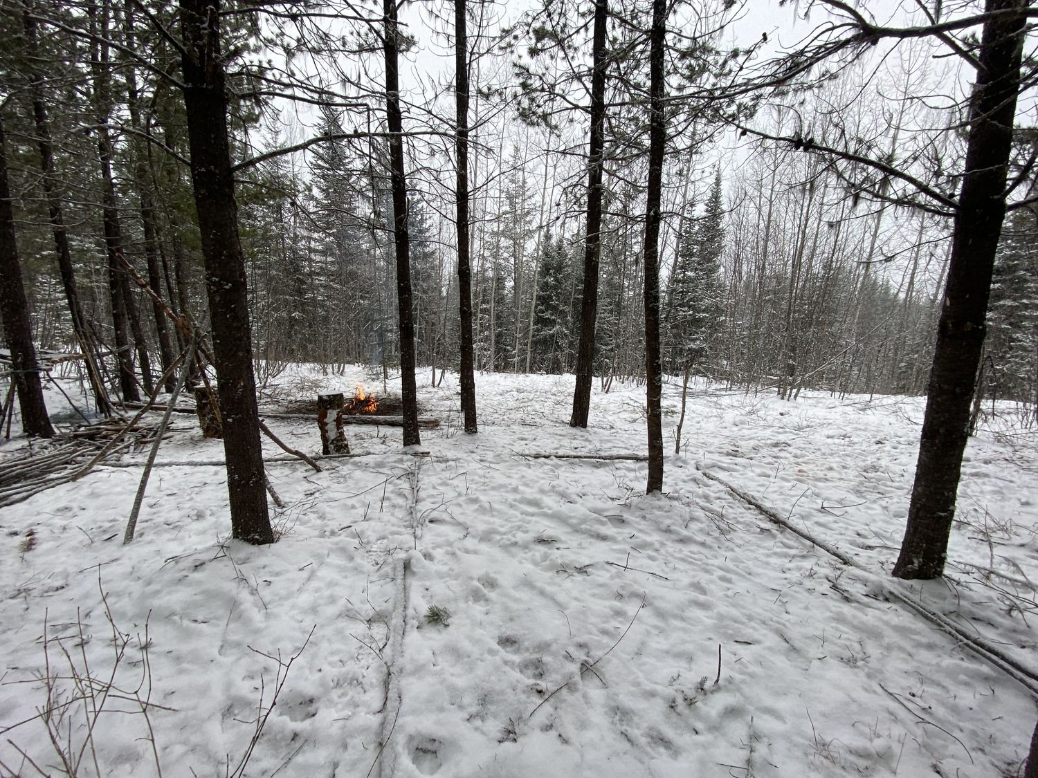 View from the imaginary cabin's spot