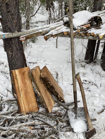 Temporary first workbench in the woods