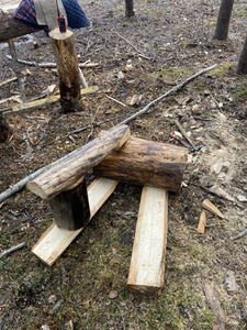 Second Saw Horse