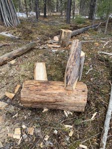 Second Saw Horse