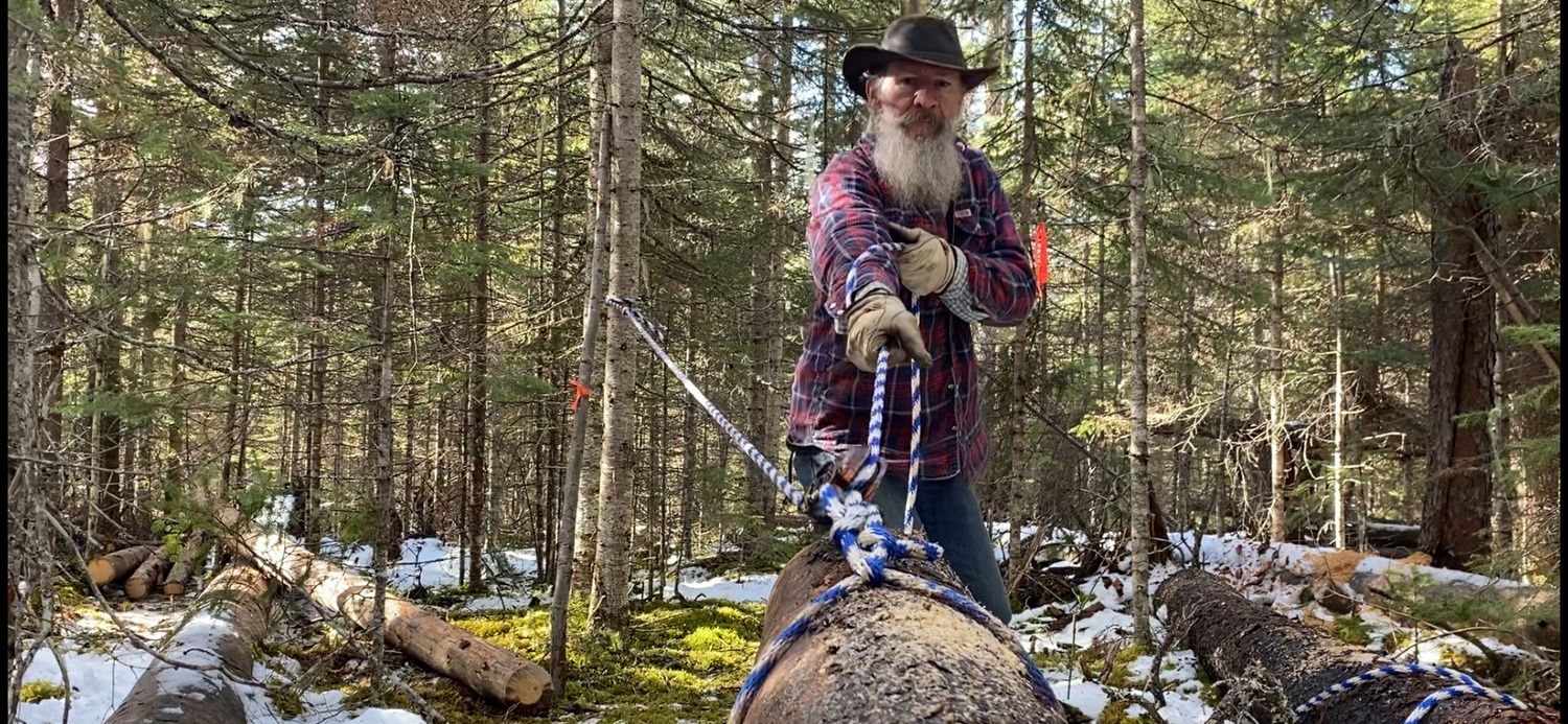 Pulling Logs out of the forrest